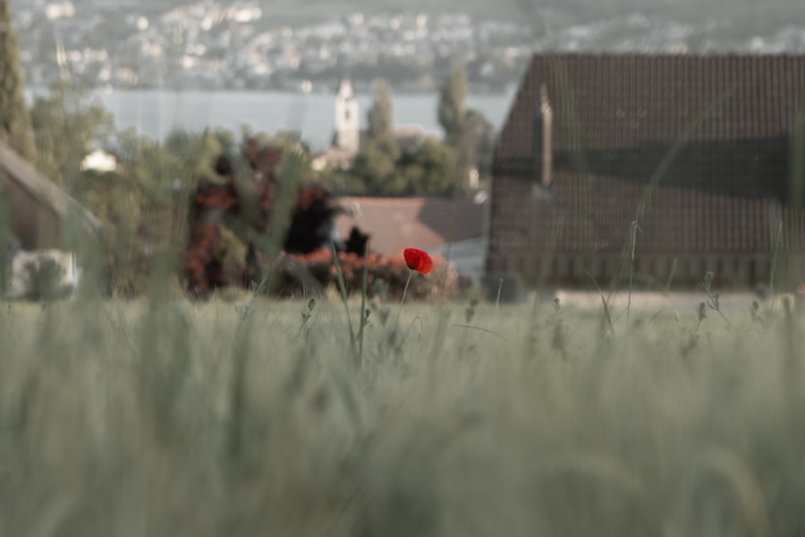 rabatkoder
