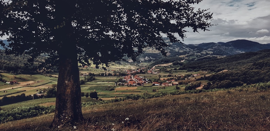 Photo gaveidéer